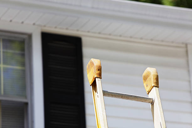 Best Steel Siding Installation  in South Congaree, SC